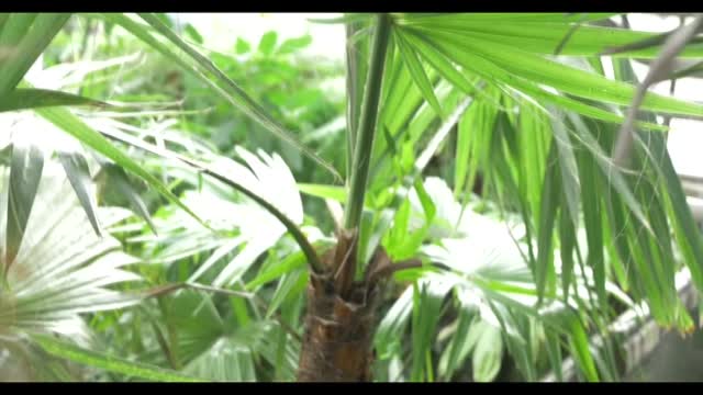 Egzotarium_Sosnowiec_grudzien