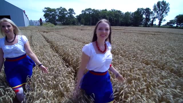 Grupa Fest - Briftriger