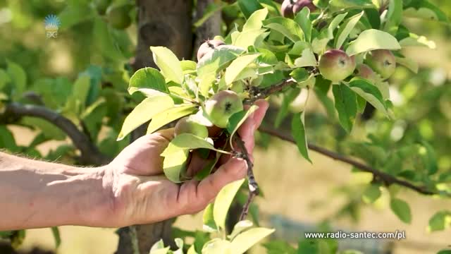 Nowe rolnictwo na rzecz nowego czasu. Roślinne wyciągi
