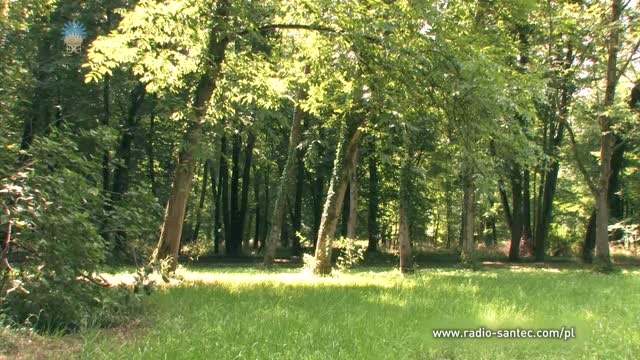 Codzienne kształtowanie życia. Część 06