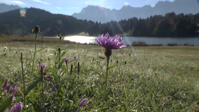 Codzienne kształtowanie życia. Część 07