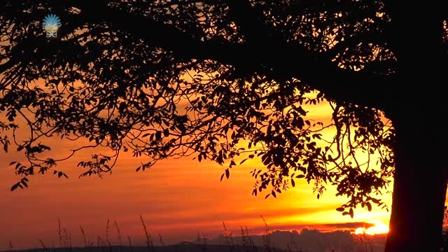 Gwiezdne godziny z Gabriele