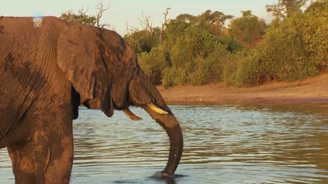 Żyj ze mną. Część 11