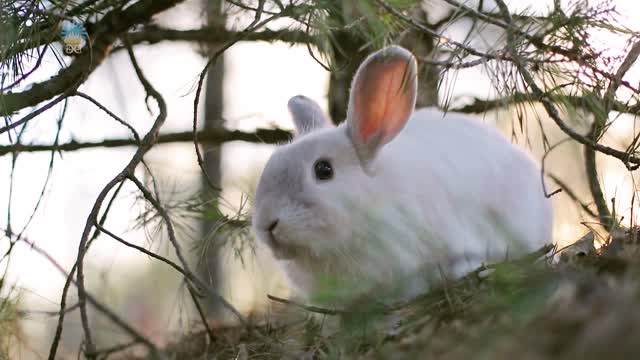 Żyj ze mną. Część 02