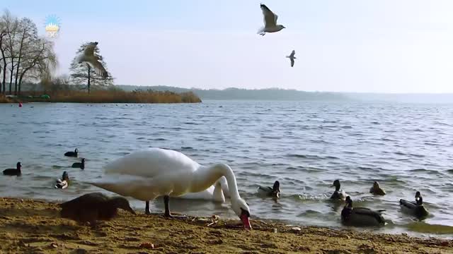 Żyj ze mną. Część 03