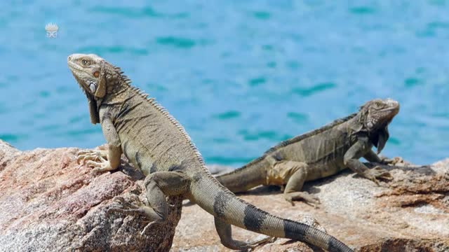 Żyj ze mną. Część 07