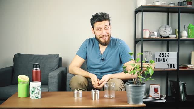 Niebieska herbatka - Butterfly Tea Pea