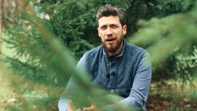 Przepis na herbatę Lebu Cha