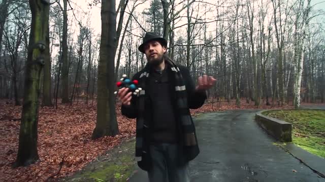 Kofeina działanie, zawartość kofeiny w herbacie. Czy herbata zawiera teinę? 