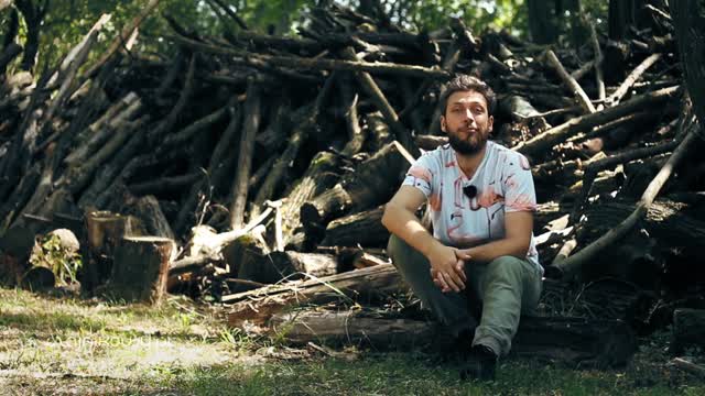 Herbata i koniki polne